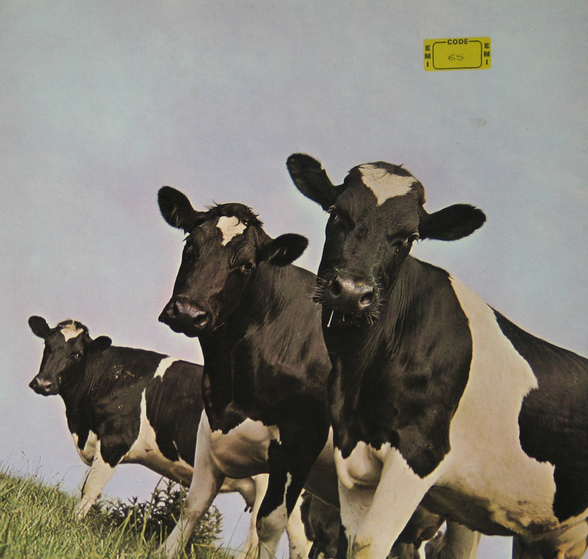 High Resolution Photo #2 PINK FLOYD Atom Heart Germany DE74-2 